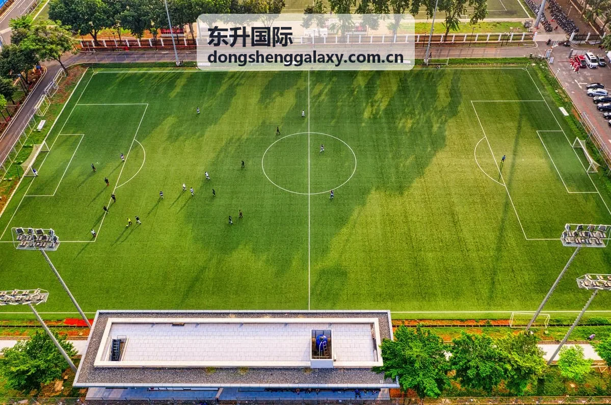 东升国际用户服务支持场景